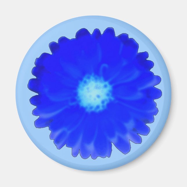 Coola Blue Marigold Magnet (Framsidan)
