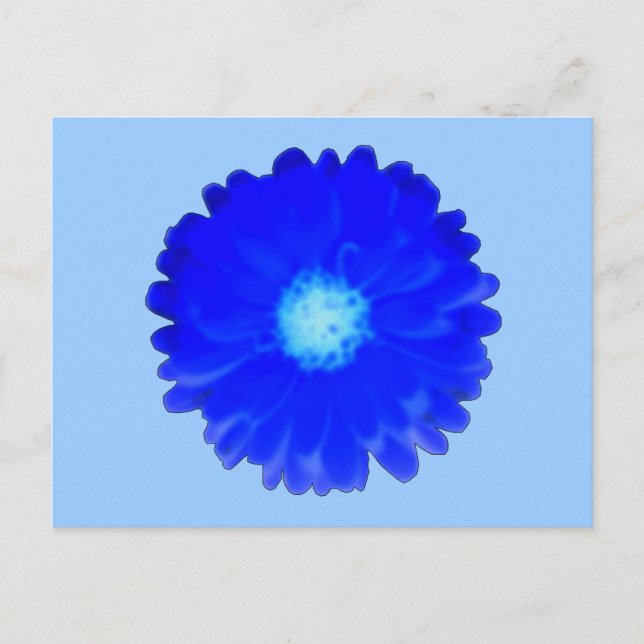 Coola Blue Marigold vycard Vykort (Framsida)
