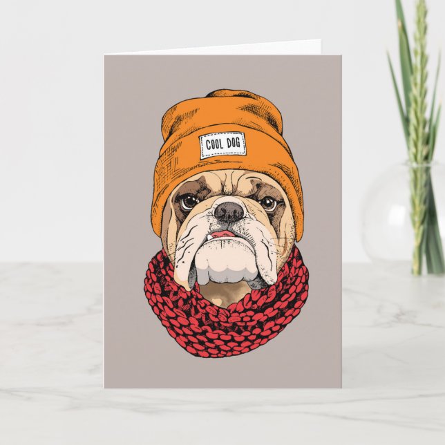 Coola Bulldog Kort (Framsida)