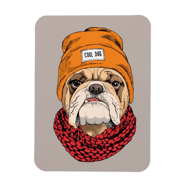 Coola Bulldog Magnet (Vertikal)