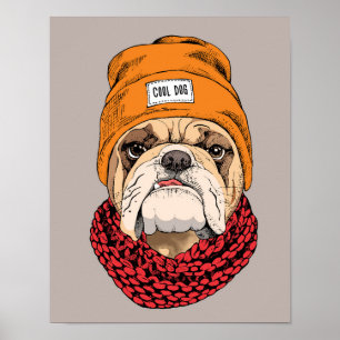 Coola Bulldog Poster