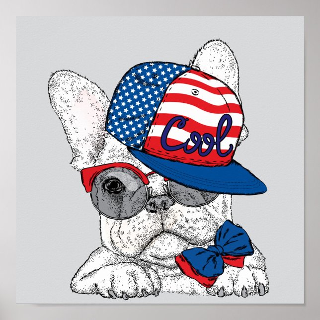 Coola Bulldog Poster (Skapare uppladdad)