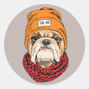 Coola Bulldog Runt Klistermärke