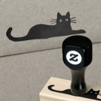 Coola Cat Ljuger nedåt