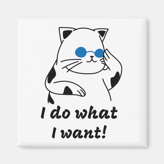 COOLA CAT MAGNET (Framsidan)