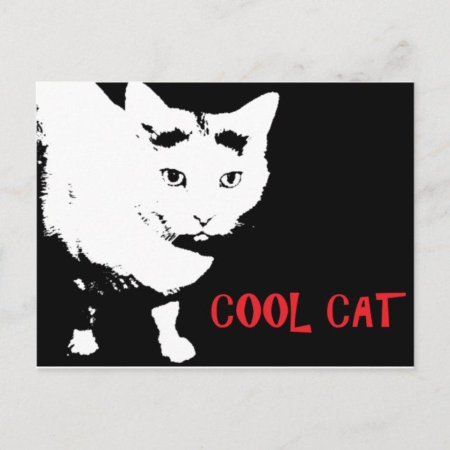 COOLA CAT-POSTCARD VYKORT (Framsida)