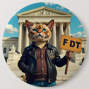Coola Cat säger FDT-politik Knapp