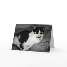 Coola Cat w Sunglasses födelsedagskort