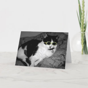 Coola Cat w Sunglasses födelsedagskort Kort