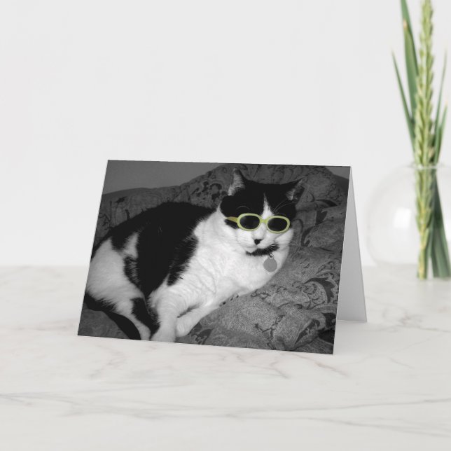 Coola Cat w Sunglasses födelsedagskort Kort (Framsida)