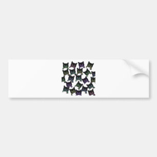 Coola Cats Bildekal