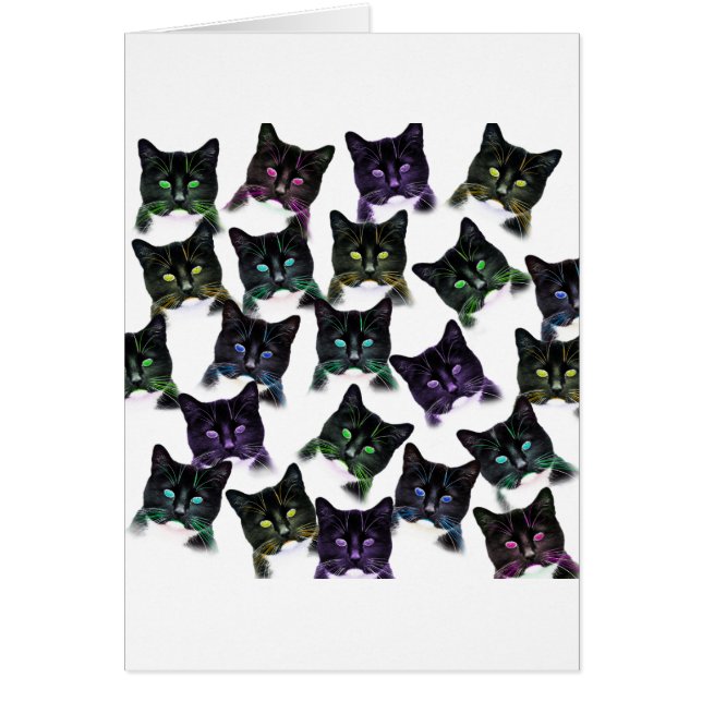 Coola Cats Hälsningskort (Framsidan)