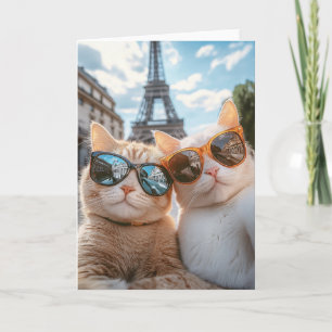 Coola Cats i Paris Inbjudan
