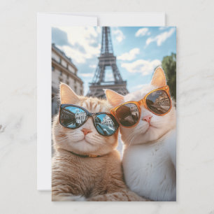 Coola Cats i Paris Inbjudningar