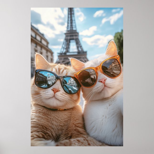 Coola Cats i Paris Poster (Framsidan)
