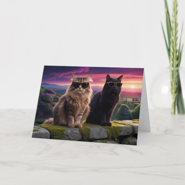 Coola Cats Kort (Framsida)