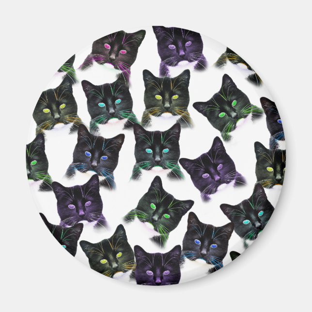 Coola Cats Magnet (Framsidan)
