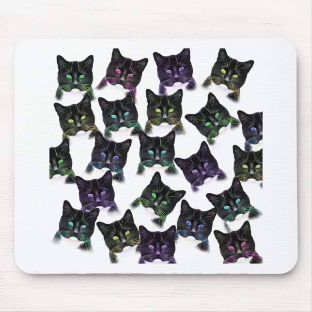Coola Cats Musmatta (Framsidan)