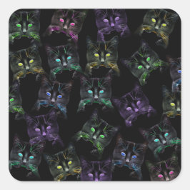 Coola Cats på Black! Katter med flera färgader Fyrkantigt Klistermärke