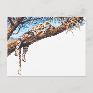 Coola cheetah vykort