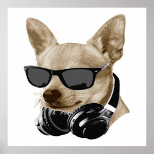 Coola Chihuahua  Chihuahua Wearing Glass Poster
