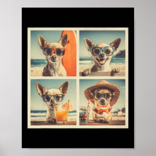 Coola Chihuahuor Solglasögon Söta Hundar Semester Poster