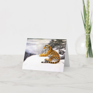Coola chinese fluffy tiger rest snö cliff vinterti kort
