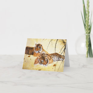 Coola chinese fluffy tiger rest sunset art kort