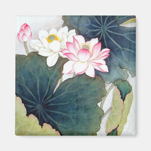 coola chinese lotus löv rosa blomsterflugkonst magnet (Framsidan)