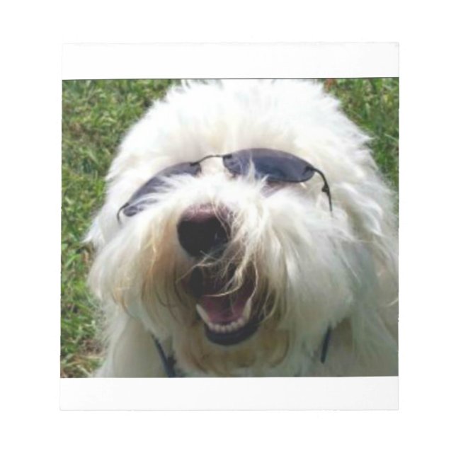 Coola Coton de Tulear Anteckningsblock (Framsida)