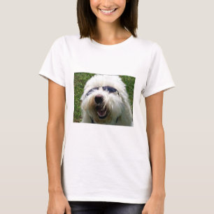 Coola Coton de Tulear Tee Shirt