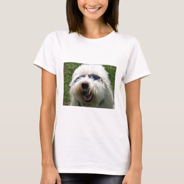 Coola Coton de Tulear Tee Shirt (Framsida)