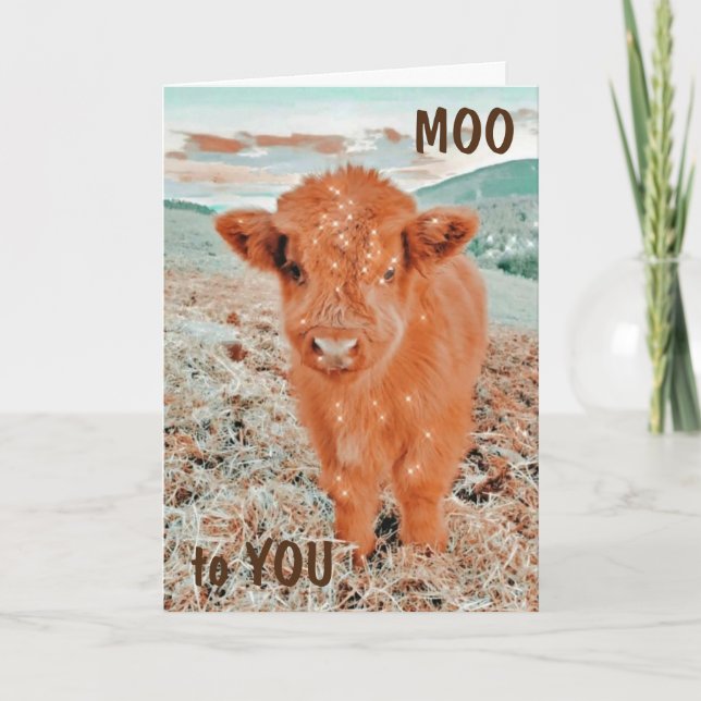 COOLA COW SÄGER MOO TILL DIG *16:e BIRTHDAY*-Kort Kort (Framsida)