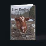 COOLA COW SAYS "GRATTIS PÅ FÖDELSEDAGEN BROTHER" KORT<br><div class="desc">DEN HÄR KÖN LEVER NÅGRA MILLAR FRÅN OSS. VI KÄRLEK SOM HAN KALLADE DEN ANDRA DAGEN OCH NU KAN HAN SÄGA "GRATTIS PÅ FÖDELSEDAGEN" PÅ ETT ROLIGT FÖR NÅGON I "DITT LIV" TACK FÖR ATT HITTA EN AV MINA 8 LAGER!</div>