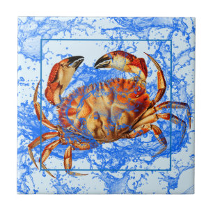 Coola Crab Kakelplatta