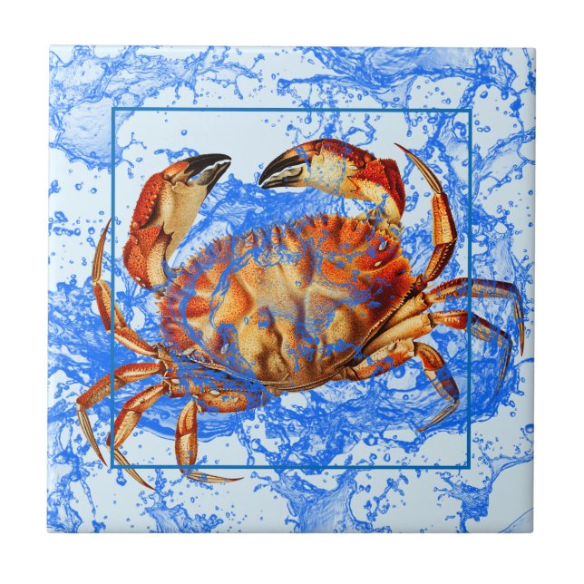 Coola Crab Kakelplatta (Framsidan)