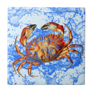 Coola Crab Kakelplatta