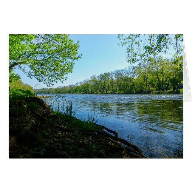 Coola Creekside Hälsningskort (Framsidan Horizontal)