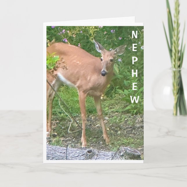 **COOLA DEAR** SAYS GRATTIS PÅ FÖDELSEDAGEN NEPHEW KORT (Framsida)