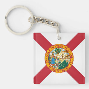 Coola delstat Florida Flagga