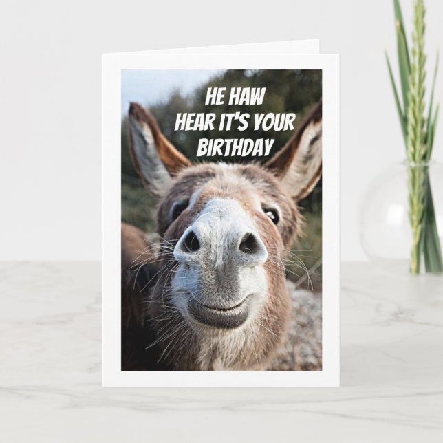 **COOLA DONKEY SÄGER "GRATTIS PÅ FÖDELSEDAGEN" SIS KORT (Framsida)