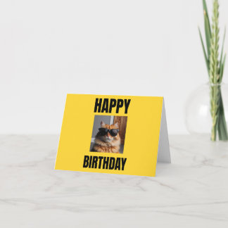 Coola - födelsekort för Cat Lovers, roligt gift Kort