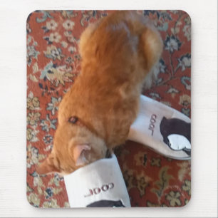 coola för musknappingerkatt musmatta