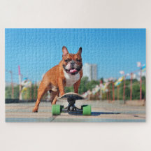 Coola Fransk Bulldog Skateboarding
