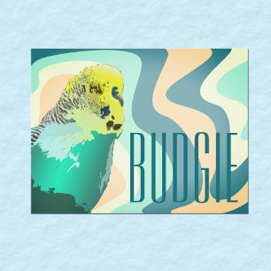 Coola Funky Retro 80's Blue Grönt Budgie Pet Bird Vykort