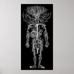 Coola Funny Geek Man's Circulatory System Anpassni Poster