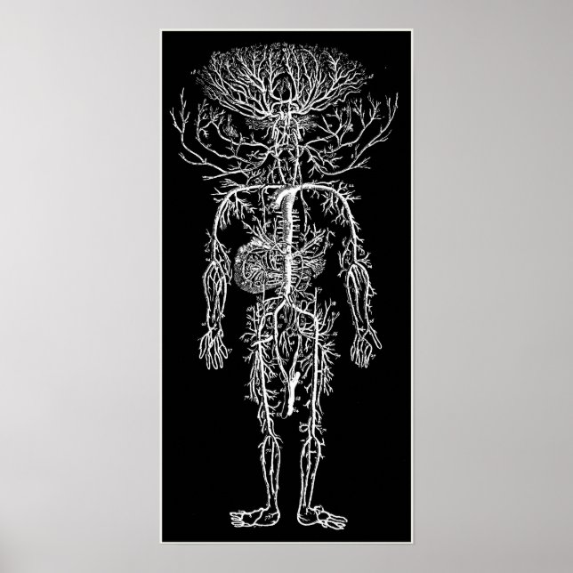 Coola Funny Geek Man's Circulatory System Anpassni Poster (Framsidan)