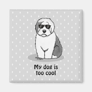 Coola Gamla engelska Sheepdog (Grått 1) Cute Funny Magnet