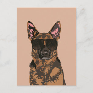 Coola German Shepherd for German Shepherd Älskare Vykort