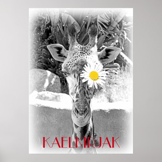 Coola Giraffe Poster! Poster (Framsidan)